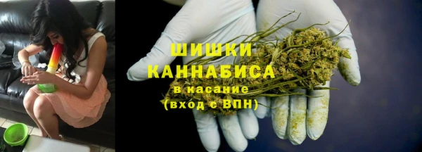 стафф Дмитриев