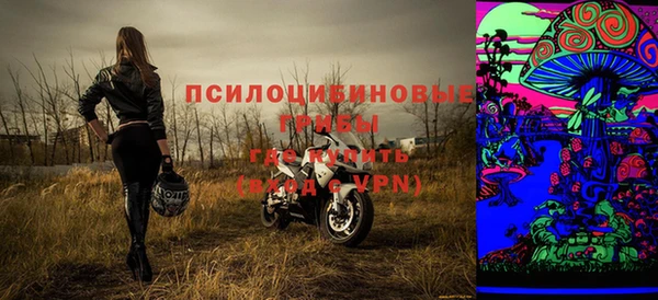 стафф Дмитриев