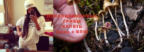 экстази Дмитров