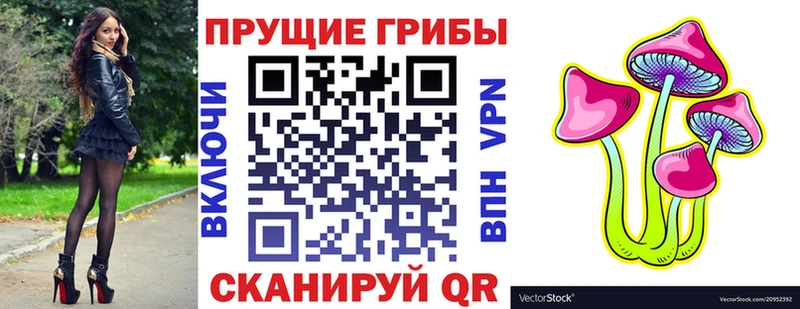Псилоцибиновые грибы ЛСД  Купить закладки  Новозыбков 