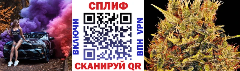 Бошки Шишки конопля Новозыбков